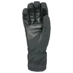 Gloves Level Alpine Black -Glis Shop 7a8cda4d7e6c53711fe41d92d07659ec1a291fee H23LEVEACC3354701 2