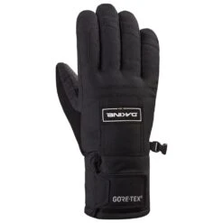 Gloves Dakine Bronco Gore-Tex Glove Black